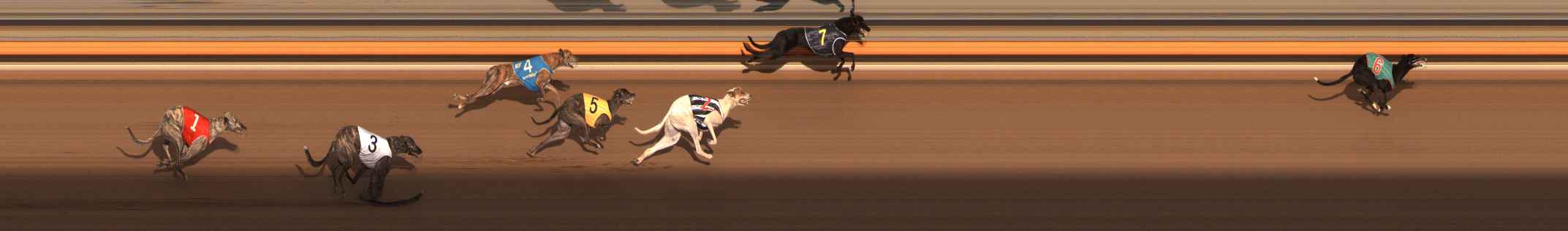 Race result finish photo